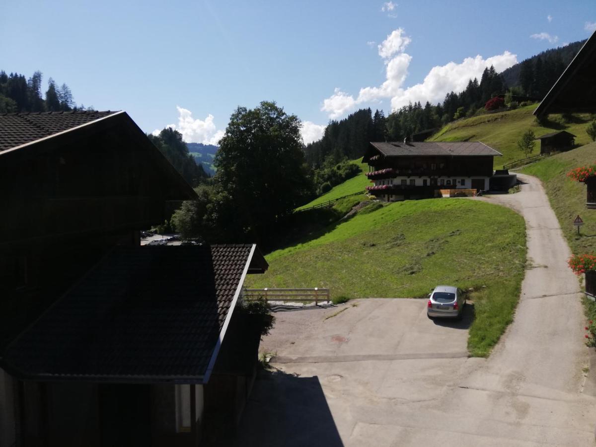 Appartements Zellner Alpbach Esterno foto